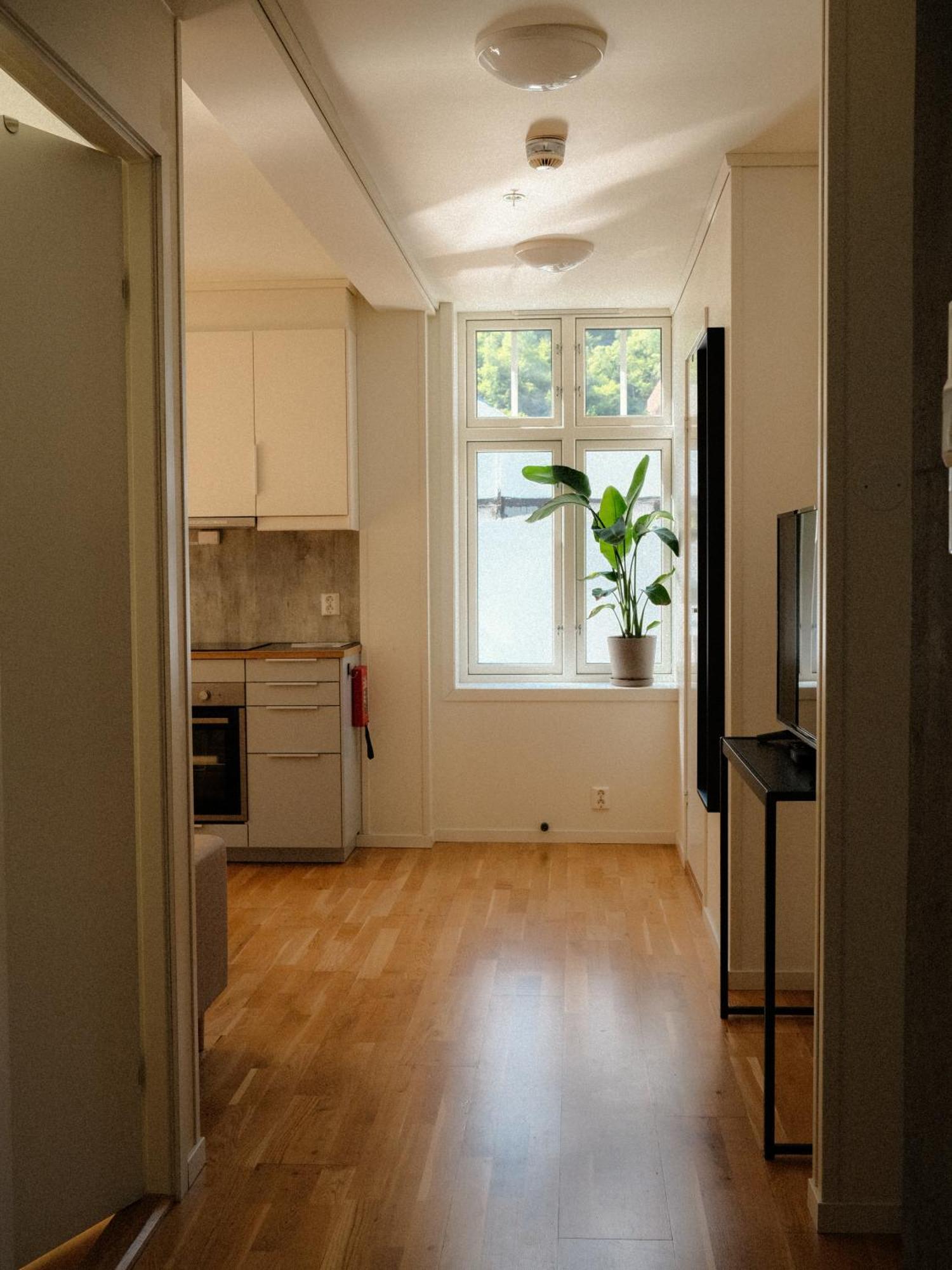 Blue House Odda Apartment Room photo